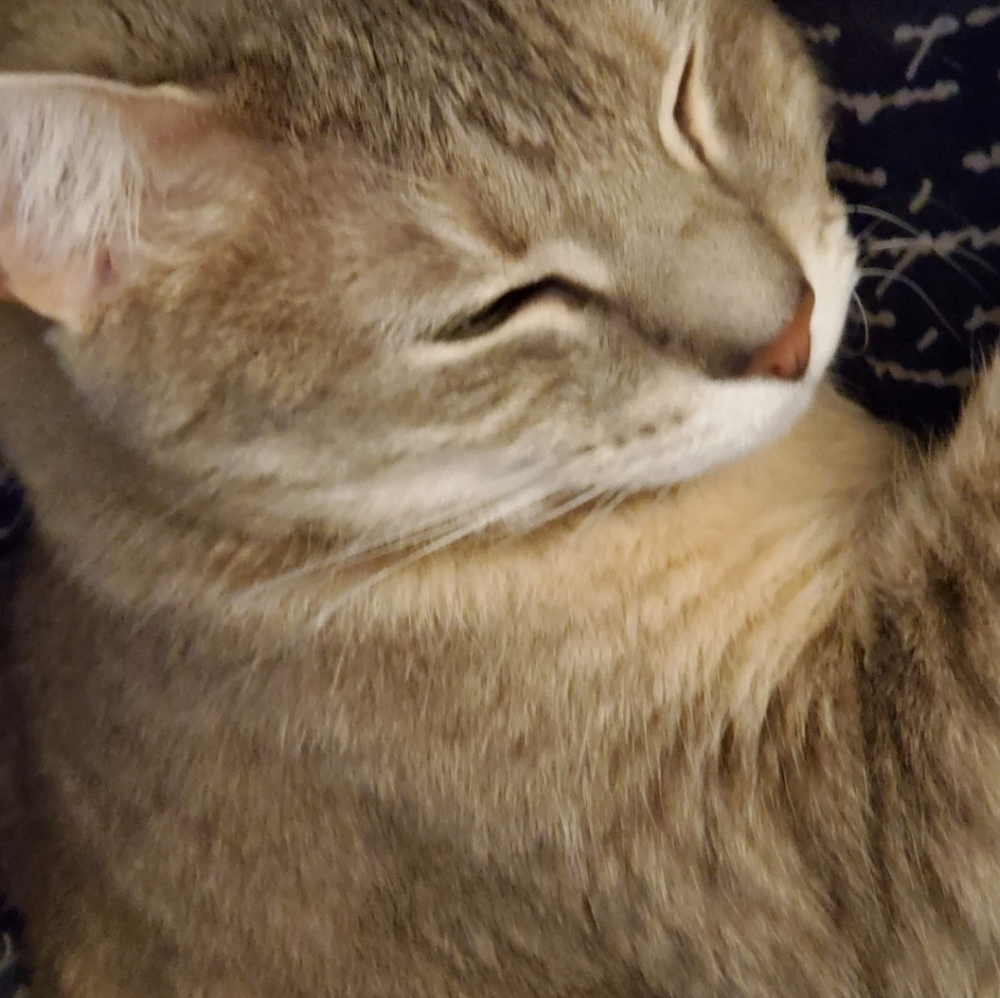 Meet your Posher, Sebastian
